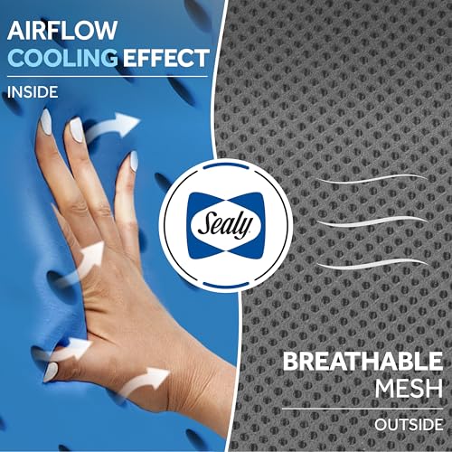 Sealy Ergonomic Car Neck Cushion – Memory Foam Neck Pillow for Car or Office Chair, Travel Neck Pillow, - color: Gray
