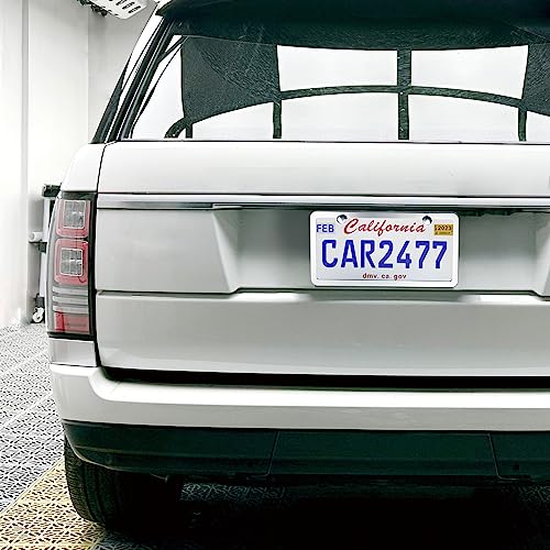 lengnoyp Solid Silver License Plate Frames 2 Pack, 2 Holes Rust-Proof License Plate Holder, Universal Car Stainless Steel License Plate Frame for Women & Man (Screws & Chrome Caps) by Lengnoyp