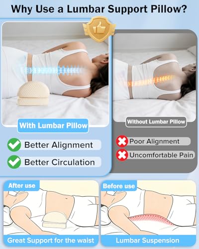 Lumbar Support Pillow for Bed Sleeping Couch, Relief Lower Back Pain, Waterproof Small Lumbar Pillow for Car, Recliner Cushions for Elderly, Memory Foam Office Chair Lower Back Support Cushion