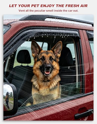 in-Channel Window Rain Guards Fit for Truck Dodge Ram 1500 Crew Cab 2009-2018/Ram 2500&3500 2010-2025 Crew Cab Extra Durable Window Deflectors Window Visors Vent Visors Vent Shades Accessories - size: Fit for 2009-2018 RAM Crew Cab Mega Cab