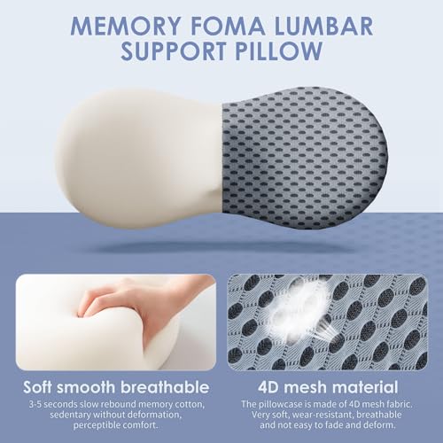 kasney Lumbar Support Pillow, Back Pillow for Low Back Pain Relief, Ergonomic Streamline Car Seat, Office Chair, Recliner and Bed (Gray) - color: Gray