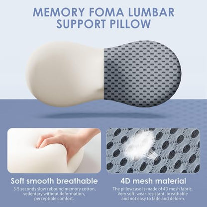 kasney Lumbar Support Pillow, Back Pillow for Low Back Pain Relief, Ergonomic Streamline Car Seat, Office Chair, Recliner and Bed (Gray) - color: Gray