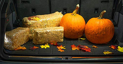 SMARTLINER All Weather Custom Fit Cargo Liner Behind The 3rd Row Compatible with 2022-2025 Kia Carnival