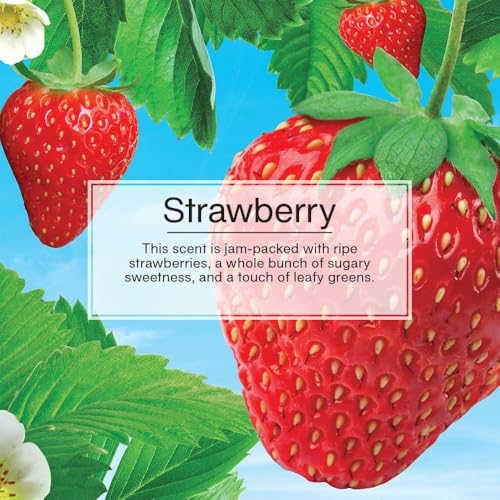 LITTLE TREES Car Air Freshener | Vent Wrap Provides Long Lasting Scent, Invisibly Fresh | 16 Air Fresheners | Strawberry - color: Strawberry