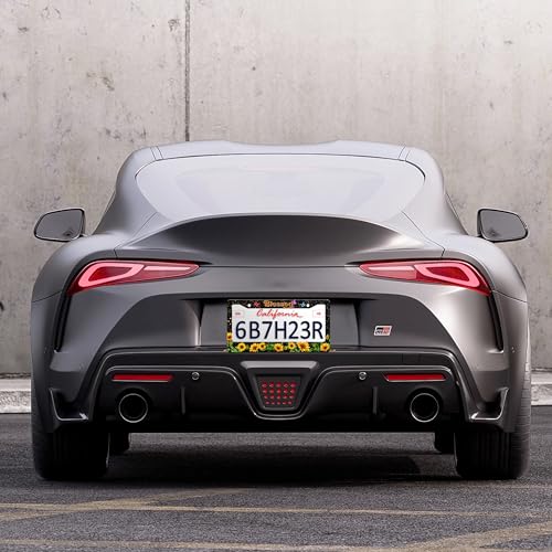 Blessed Sunflower License Plate Frame Christian License Plate Holder Personalise Stainless Steel Funny Design Compatible with Standard License Plate Frames for USA and Canada 6 X 12 Inch with Screws - color: Blessed Sunflower