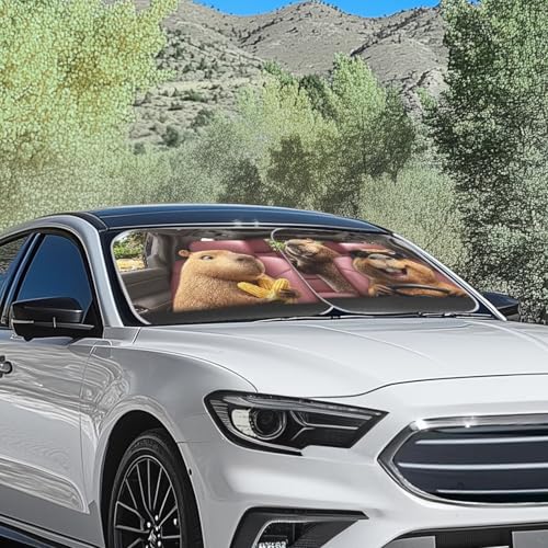 Windshield Sun Shade Funny Capybara Car Windshield Cover Foldable Sun Visor for Car, Sedans, SUV, Truck, 2 Pieces Thickened Automotive Interior Sun Protection - color: Capybara Banana
