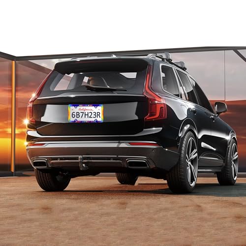 Here I Go In My Gay Little Car License Plate Frame Gay Pride Rainbow License Plate Holders Funny Auto Accessory Bracket Stainless Steel License Plate Frames With Screws For Women Men 6x12 Inch 4 Holes - color: Here I Go In My Gay Little Car