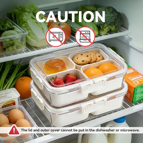 2 Pack Small Snack Box Container with Lid, 4 Compartment Snack Containers for Kids & Adults, Portable Snack Tray Organizer for School Lunch, Work, Beach,Travel & Picnic
