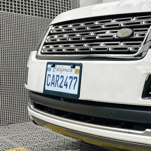 2PCS Matte Black License Plate Frames, 2 Holes Solid Rust-Proof Stainless Steel License Plate Holder, Lengnoyp Universal Car License Plate Cover for Women and Man with Screws Accessories - color: Black
