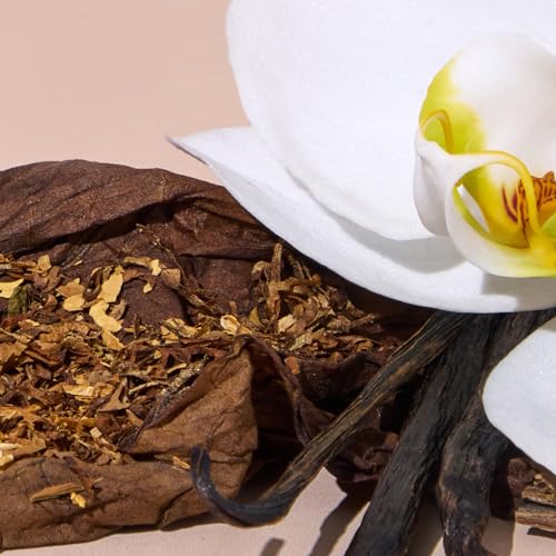 120 Day Car Air Freshener - Long Lasting Tobacco Vanilla Scent for Auto and Home - Non-Toxic Refillable Hanging Diffuser - size: 0.2 Fl Oz (Pack of 1)