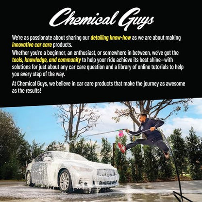 Chemical Guys Bug & Tar Wash Heavy Duty Bug, Tar, Grime, Tree Sap & Bird Dropping Remover - Safe for Paint, Glass, Chrome, Plastic & All Exterior Surfaces (64 oz) CWS_104_64 - size: 64 Fl Oz (Pack of 1)