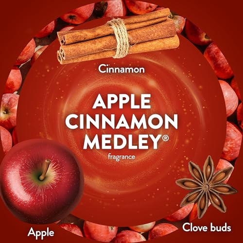 Air Wick Scented Oils 0+10 Apple Cinnamon Medley - size: 0.67 Fl Oz (Pack of 10), style: 10 ct