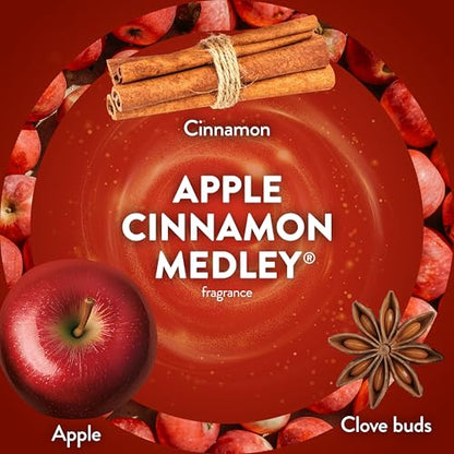 Air Wick Scented Oils 0+10 Apple Cinnamon Medley - size: 0.67 Fl Oz (Pack of 10), style: 10 ct