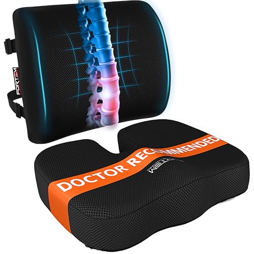 FORTEM Seat Cushion, Office Chair Cushion, Lumbar Support Pillow for Office Chair, Memory Foam Sciatica Coccyx Tailbone Pressure Pain Relief, Car Sitting Pad, Washable Non Slip - color: Black Mesh, size: Large