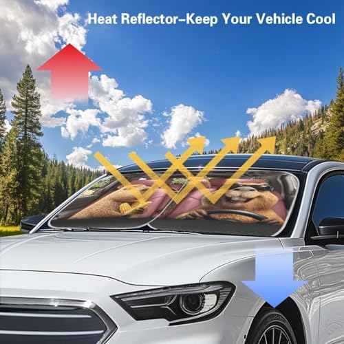 Windshield Sun Shade Funny Capybara Car Windshield Cover Foldable Sun Visor for Car, Sedans, SUV, Truck, 2 Pieces Thickened Automotive Interior Sun Protection - color: Capybara Banana