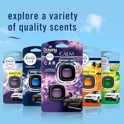 Febreze Car Vent Clip, Downy Calm Scent, 2 Count, 0.13 oz Total - size: 0.07 Fl Oz (Pack of 2)