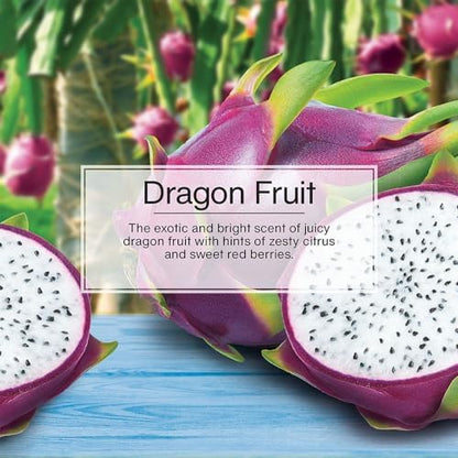 LITTLE TREES Car Air Freshener | Hanging Tree Provides Long Lasting Scent for Auto and Home | 24 Air Fresheners |Dragon Fruit - color: Dragon Fruit
