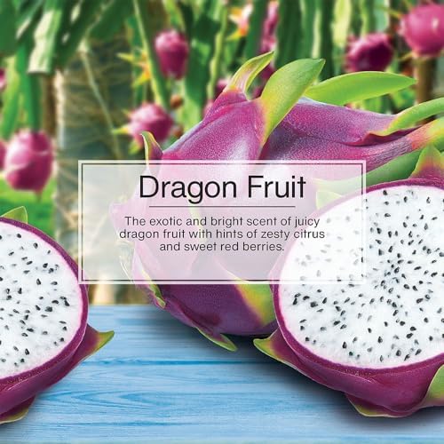 LITTLE TREES Car Air Freshener | Hanging Tree Provides Long Lasting Scent for Auto and Home | 24 Air Fresheners |Dragon Fruit - color: Dragon Fruit