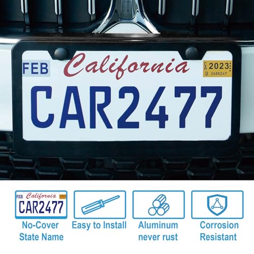 2PCS Matte Black License Plate Frames, 2 Holes Solid Rust-Proof Stainless Steel License Plate Holder, Lengnoyp Universal Car License Plate Cover for Women and Man with Screws Accessories - color: Black