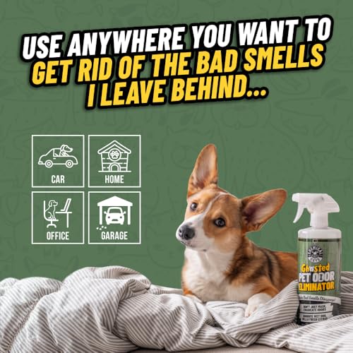 Chemical Guys Ghosted Pet Odor Eliminator 32 Oz Pet Smell Neutralizer For Car Interior, Carpet, Upholstery, Fabric Seats, Home, Furniture, Citrus Scent Spray Cleaner - size: 32 Fl Oz (Pack of 1)