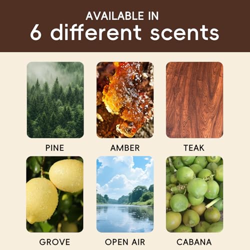 Car Air Freshener Natural Essential Oil Scent, Odor Eliminator and Purifier, Sun Visor Clip Air Freshener for Car(Refill - 3 Pack - Amber-Coconut-Pine)