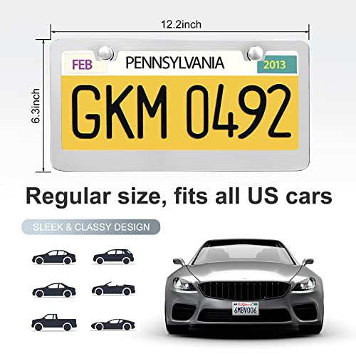 QUANQIUFEI 2 Pack License Plate Frames, Stainless Steel Car License Plate Cover Car Accessories with Screw Caps (Silver) - color: Silver
