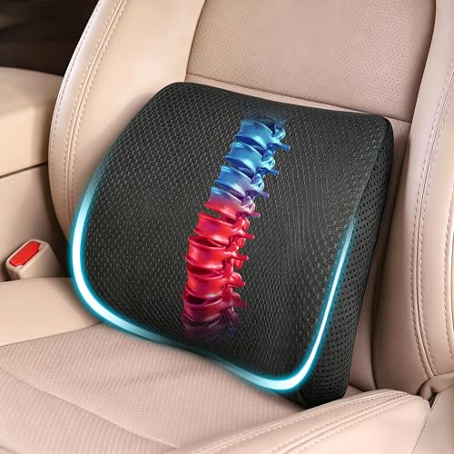 Lumbar Support Pillow for Car & Office Chair - High-Density Memory Foam Back Cushion for Sciatica & Lower Back Pain Relief - Non-Slip Support for Long Commutes & Desk Workers (3D Mesh Black) - color: 3d Mesh Black