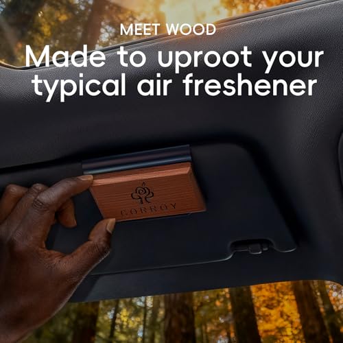 Car Air Freshener Natural Essential Oil Scent, Odor Eliminator and Purifier, Sun Visor Clip Air Freshener for Car(Refill - 3 Pack - Amber-Coconut-Pine)