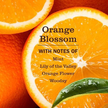 Mrs. MEYER'S CLEAN DAY Pet Stain & Odor Fighter, Orange Blossom Scent, 16oz - size: 16 Fl Oz (Pack of 1)