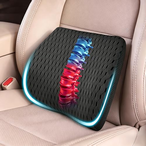 Lumbar Support Pillow for Car & Office Chair - High-Density Memory Foam Back Cushion for Sciatica & Lower Back Pain Relief - Non-Slip Support for Long Commutes & Desk Workers (4D Mesh Black) - color: 4d Mesh Black