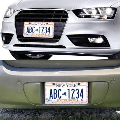 Pink Strawberry Daisy Flowers License Plate Frames, 2 Pack Strawberry Flower Car Plate Frame, Stainless Steel License Plate Holders Covers with Free Screws Fasteners Caps (Pink Strawberry Flowers) - color: Pink Strawberry Flowers