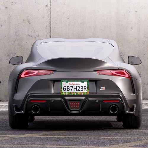 Red Mushrooms License Plate Frame Forest License Plate Holder Personalise Stainless Steel Funny Design Compatible with Standard License Plate Frames for USA and Canada 6 X 12 Inch 2 Holes with Screws - color: Red Mushrooms