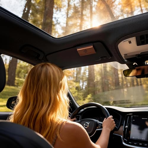 Car Air Freshener Natural Essential Oil Scent, Odor Eliminator and Purifier, Sun Visor Clip Air Freshener for Car(Refill - 3 Pack - Amber-Coconut-Pine)
