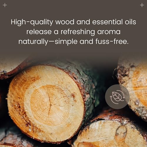 Car Air Freshener - 90 Days Long Lasting with 2Pcs Refills - Amber Scent Wood Car Air Diffuser Kit Automotive Visor Interior Accessories Decor