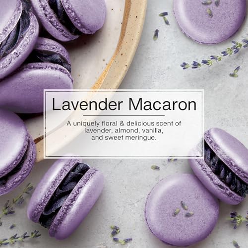 LITTLE TREES Car Air Freshener | Hanging Tree Provides Long Lasting Scent for Auto and Home | 24 Air Fresheners |Lavender Macaron - color: Lavender Macaron