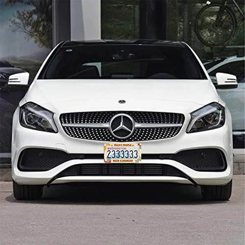 2Pcs Treat People with Kindness License Plate Frames Cover Holders Stainless Steel License Plate Cover with Screw Caps Cover and Screwdriver Set - 2-Hole for Girl Women Treat People with Kindness - color: TREAT PEOPLE WITH KINDNESS