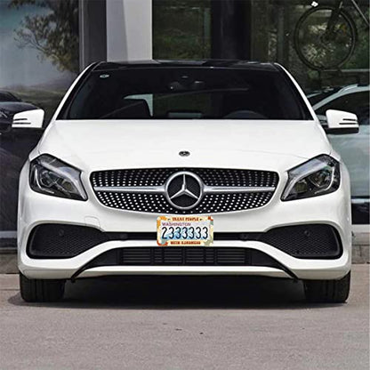 2Pcs Treat People with Kindness License Plate Frames Cover Holders Stainless Steel License Plate Cover with Screw Caps Cover and Screwdriver Set - 2-Hole for Girl Women Treat People with Kindness - color: TREAT PEOPLE WITH KINDNESS