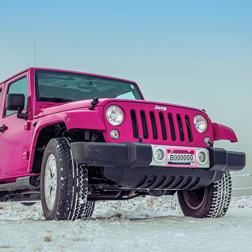 Pink License Plate Frame, Premium Fashion Matte Aluminum Alloy Holder with 2 Holes, 2 Pack Waterproof Rust-Proof Universal Car Frame for Women, Including Screws, Caps and Rattle Proof Pads - color: Pink
