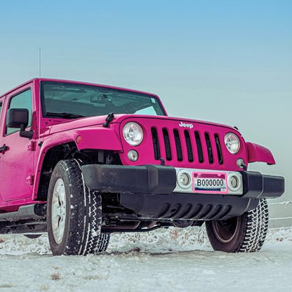 Pink License Plate Frame, Premium Fashion Matte Aluminum Alloy Holder with 2 Holes, 2 Pack Waterproof Rust-Proof Universal Car Frame for Women, Including Screws, Caps and Rattle Proof Pads - color: Pink