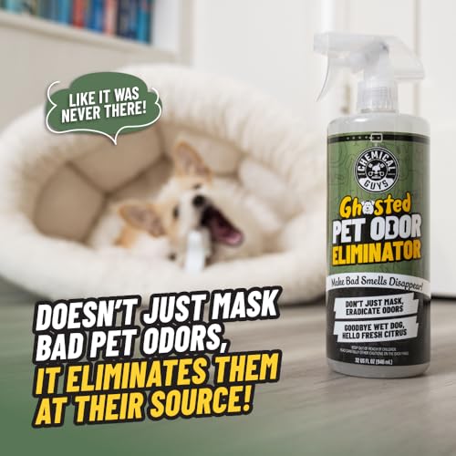 Chemical Guys Ghosted Pet Odor Eliminator 32 Oz Pet Smell Neutralizer For Car Interior, Carpet, Upholstery, Fabric Seats, Home, Furniture, Citrus Scent Spray Cleaner - size: 32 Fl Oz (Pack of 1)