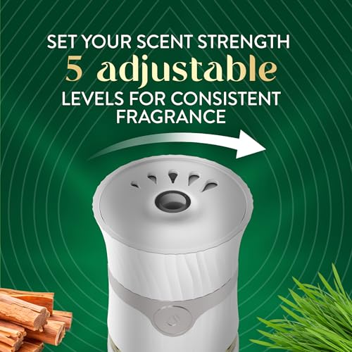Air Wick Scented Oils 0+10 Sweetgrass & Sandalwood