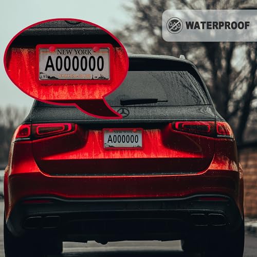 Red License Plate Frame, Premium Matte Aluminum Alloy Holder with 2 Holes, 2 Pack Waterproof Rust-Proof Universal Car Frame, Including Screws, Caps and Rattle Proof Pads - color: Red
