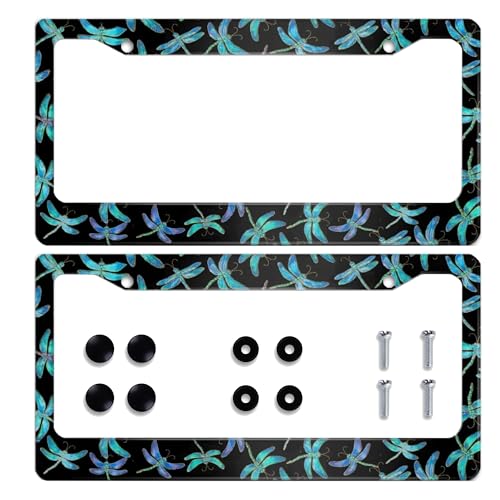 Personalized 2 Pack Beautiful Dragonfly Insects Flying License Plate Frame Stainless Steel Car License Plate Accessory Decorative 2 Holes Screws Fits US Standard License Plates Size: 12.2 x 6.3 in - color: Beautiful Dragonfly Insects Flying 2 Pack, size: