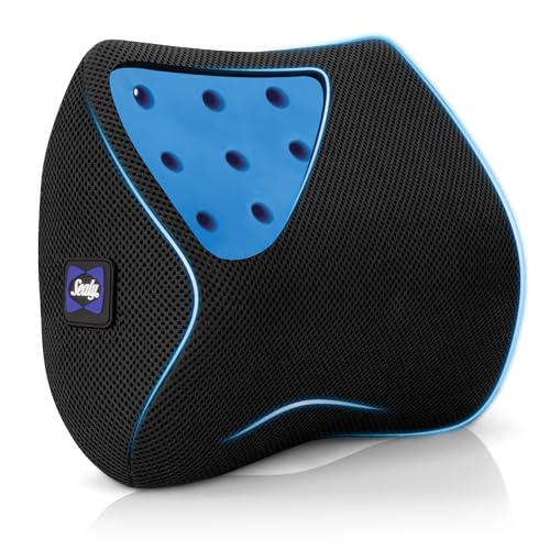 Sealy Ergonomic Car Neck Cushion – Memory Foam Neck Pillow for Car or Office Chair, Travel Neck Pillow, - color: Black