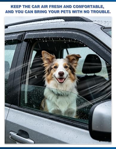 Out-Channel Window Rain Guards Fit for Toyota Tundra Extended Cab 2000-2006, Extra Durable Window Visors Vent Visors Vent Shades Wind Deflector Dark Smoke Car Tape-on with Thicker 4PCS - size: Fit for 2000-2006 Toyota Tundra Extended Cab
