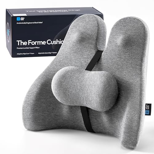 Lumbar Support Pillow for Office Chair - Ergonomic Lower Back Pillow with Adjustable SpineAlign™ Bolster, Firm Memory Foam Pillow for Car, Couch - Dual Straps, Light Grey (Light Grey) - color: Light Grey