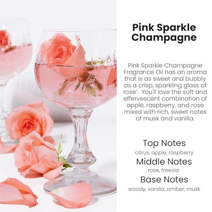 HoogaLife Car Air Freshener Diffuser 2 Pack Hanging Air Freshener Diffuser - Pink Sparkle Champagne Fragrance Oil Air Diffuse r for Car, 45+ Days Long Lasting Fragrance Made in USA (P38)