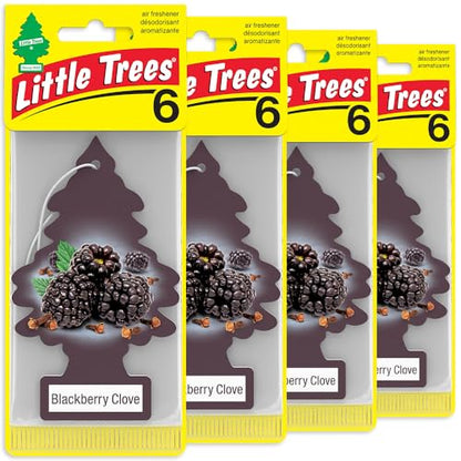 LITTLE TREES Car Air Freshener | Hanging Tree Provides Long Lasting Scent for Auto and Home | 24 Air Fresheners |Blackberry Clove - color: Blackberry Clove