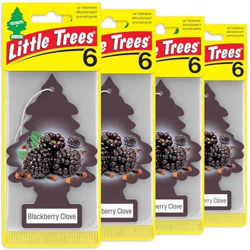 LITTLE TREES Car Air Freshener | Hanging Tree Provides Long Lasting Scent for Auto and Home | 24 Air Fresheners |Blackberry Clove - color: Blackberry Clove