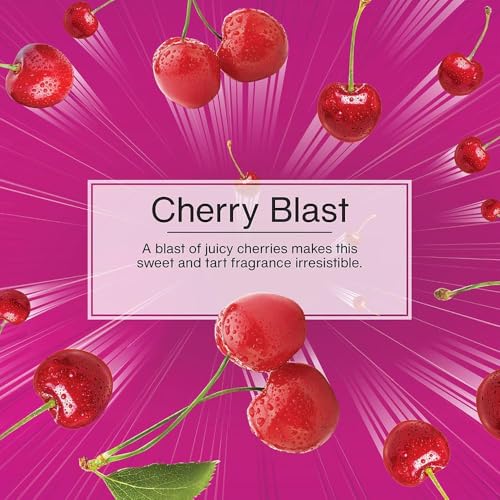 LITTLE TREES Car Air Freshener | Fiber Can Provides Long Lasting Scent for Auto or Home | Recycled Fiber | Cherry Blast, 4 Air Fresheners - color: Cherry Blast